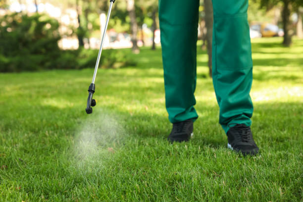 Best Rat Extermination Near Me  in Sunnyslope, WA