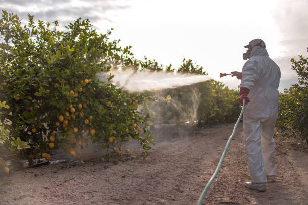 Best Bed Bug Extermination  in Sunnyslope, WA