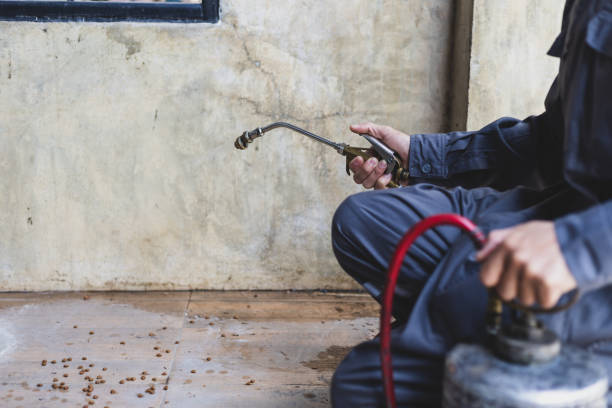 Best Affordable Pest Control Services  in Sunnyslope, WA